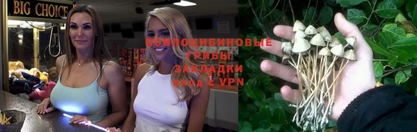 ПСИЛОЦИБИНОВЫЕ ГРИБЫ Бородино