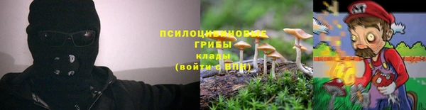 ПСИЛОЦИБИНОВЫЕ ГРИБЫ Бородино