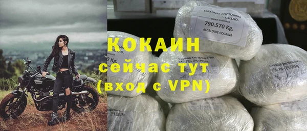 спиды Верея