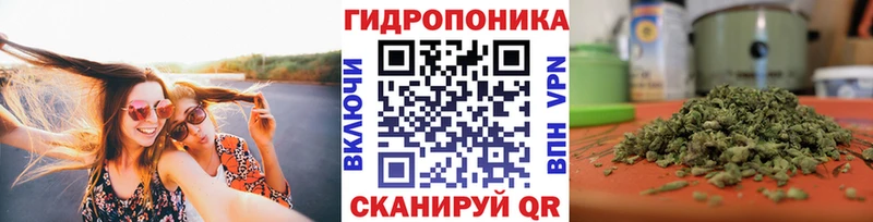 Каннабис сатива  Сосногорск 